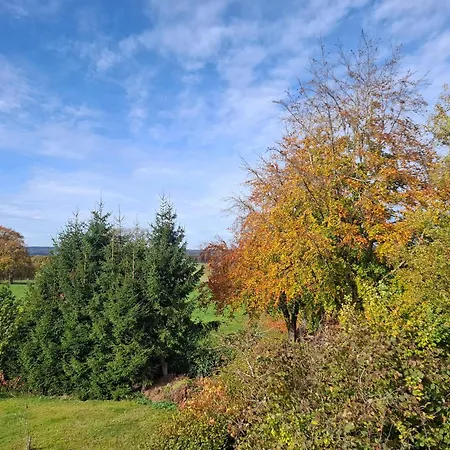 Lejlighed Eifelauszeit